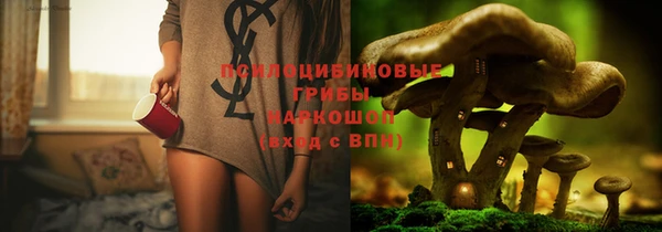 дмт Бугульма