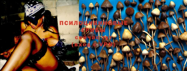 дмт Бугульма
