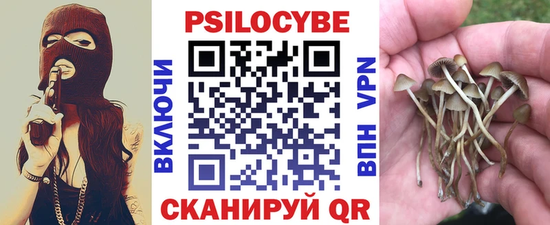 Галлюциногенные грибы Cubensis Губкин
