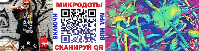 Галлюциногенные грибы Cubensis  продажа наркотиков  Губкин 